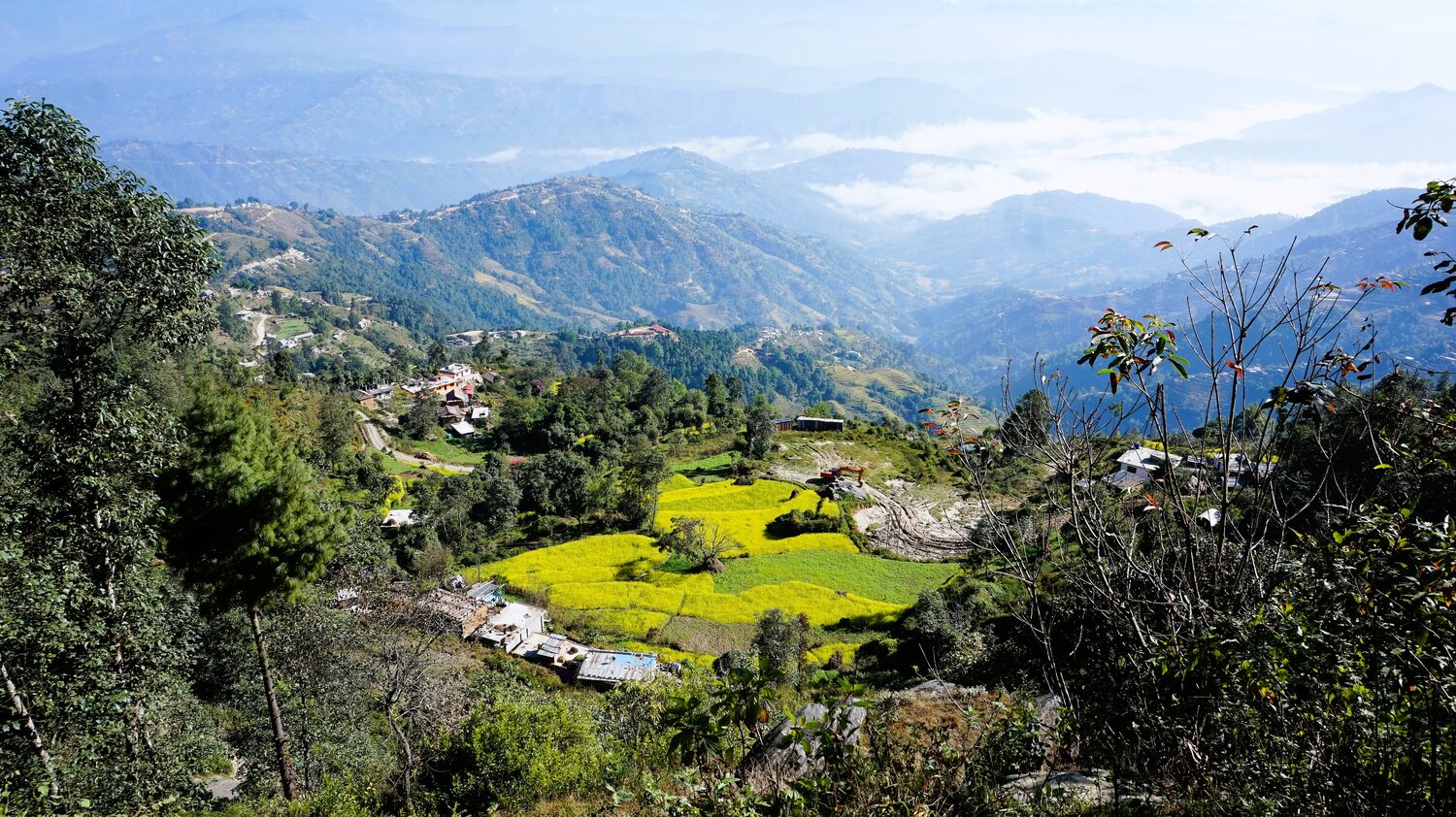 Landschaft mit Reisfelder in der Nähe Pokhara Stadt in Nepal. | © Constanze Schwarz