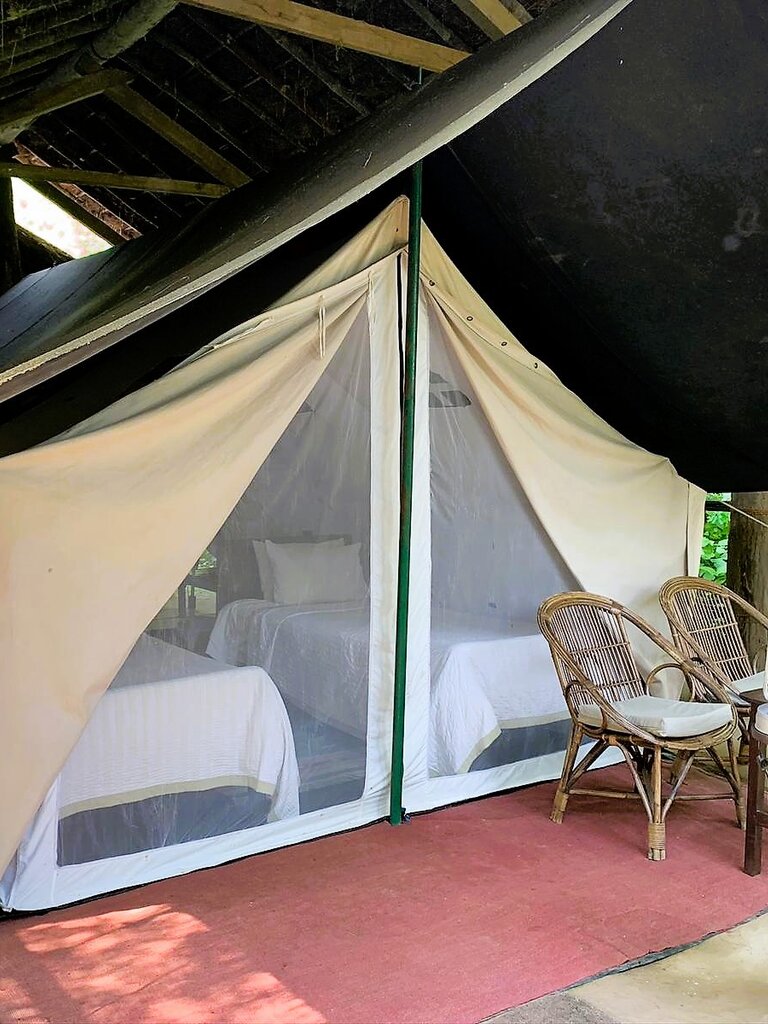 Ein Schlafzelt mit zwei Feldbetten im Zelt Camp der Tiger Tops Lodge | © Constanze Schwarz