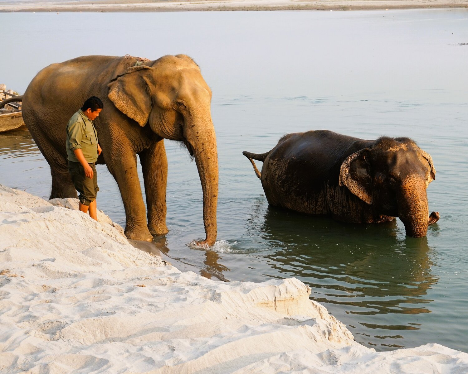 Die Elefanten der Tiger Top Lodge baden im Sonnenuntergang | © Constanze Schwarz