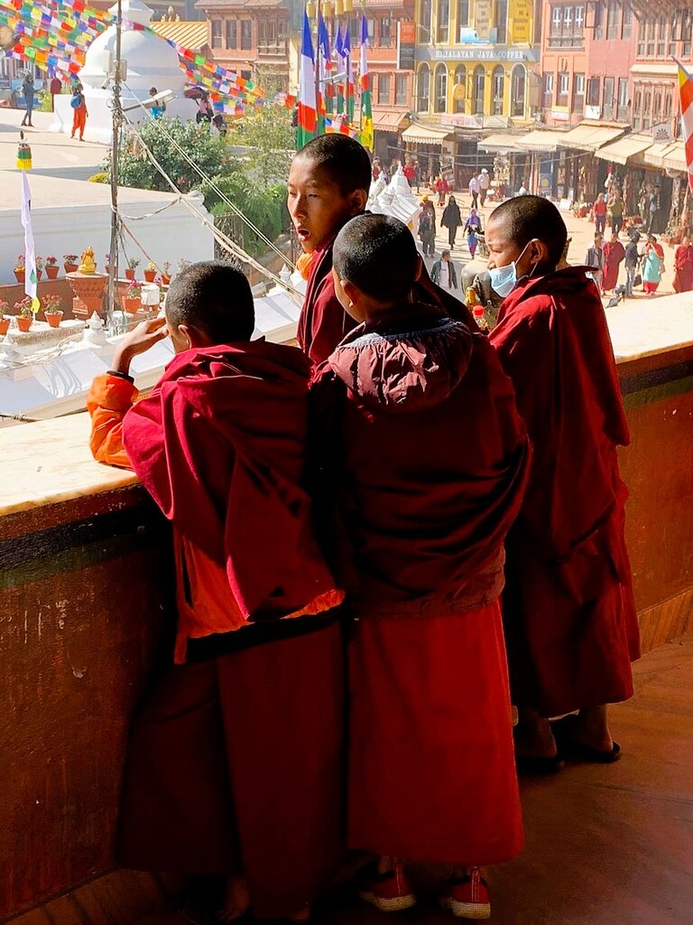 Vier Junge Buddisten stehen auf dem Balkon eines Klosters und unterhalten sich. Im Hintergrund sieht man das Gelände mit der Stupa und bunten Fahnen | © Constanze Schwarz