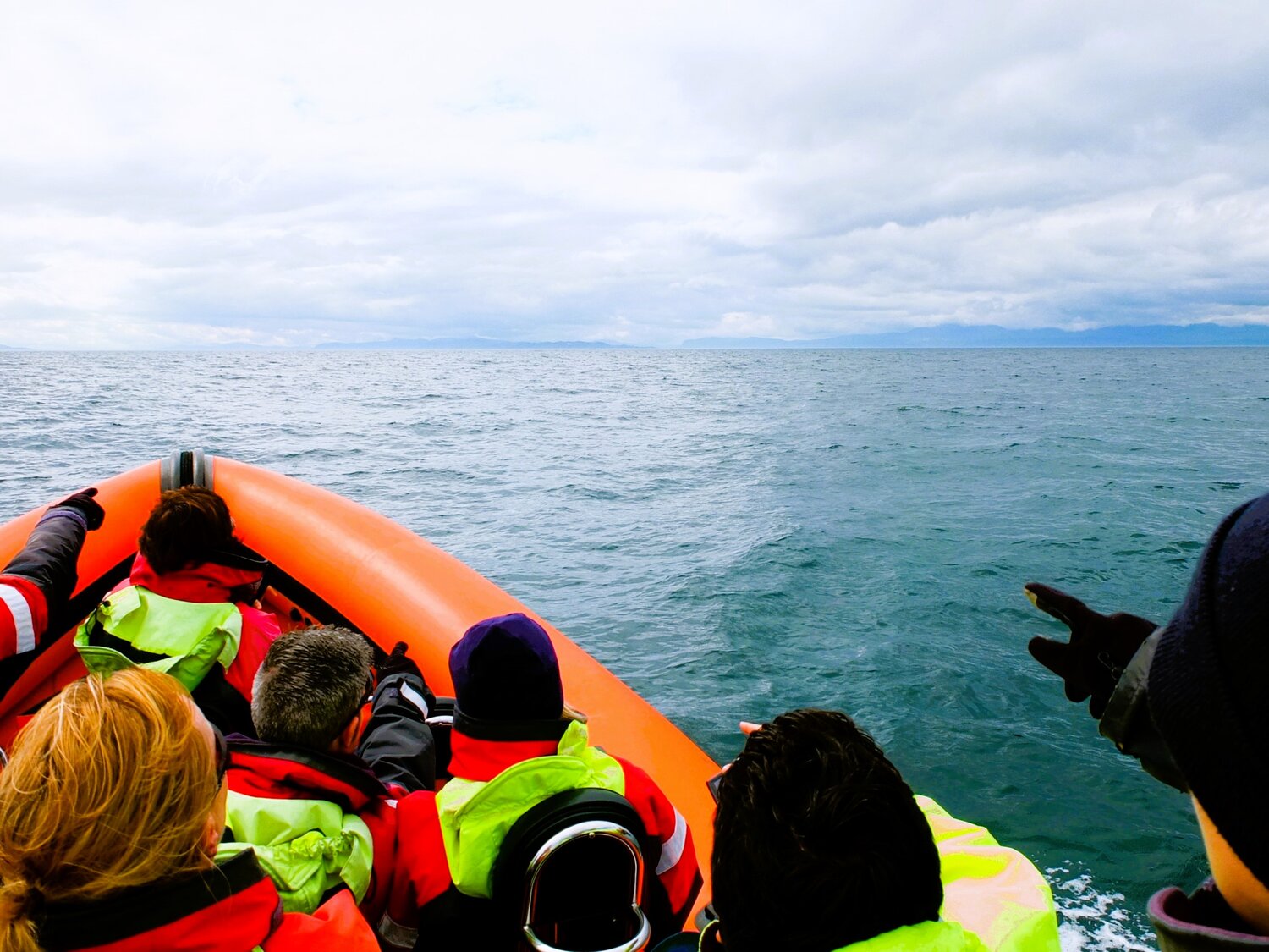 whale watching hebrides | © Manuela Holert