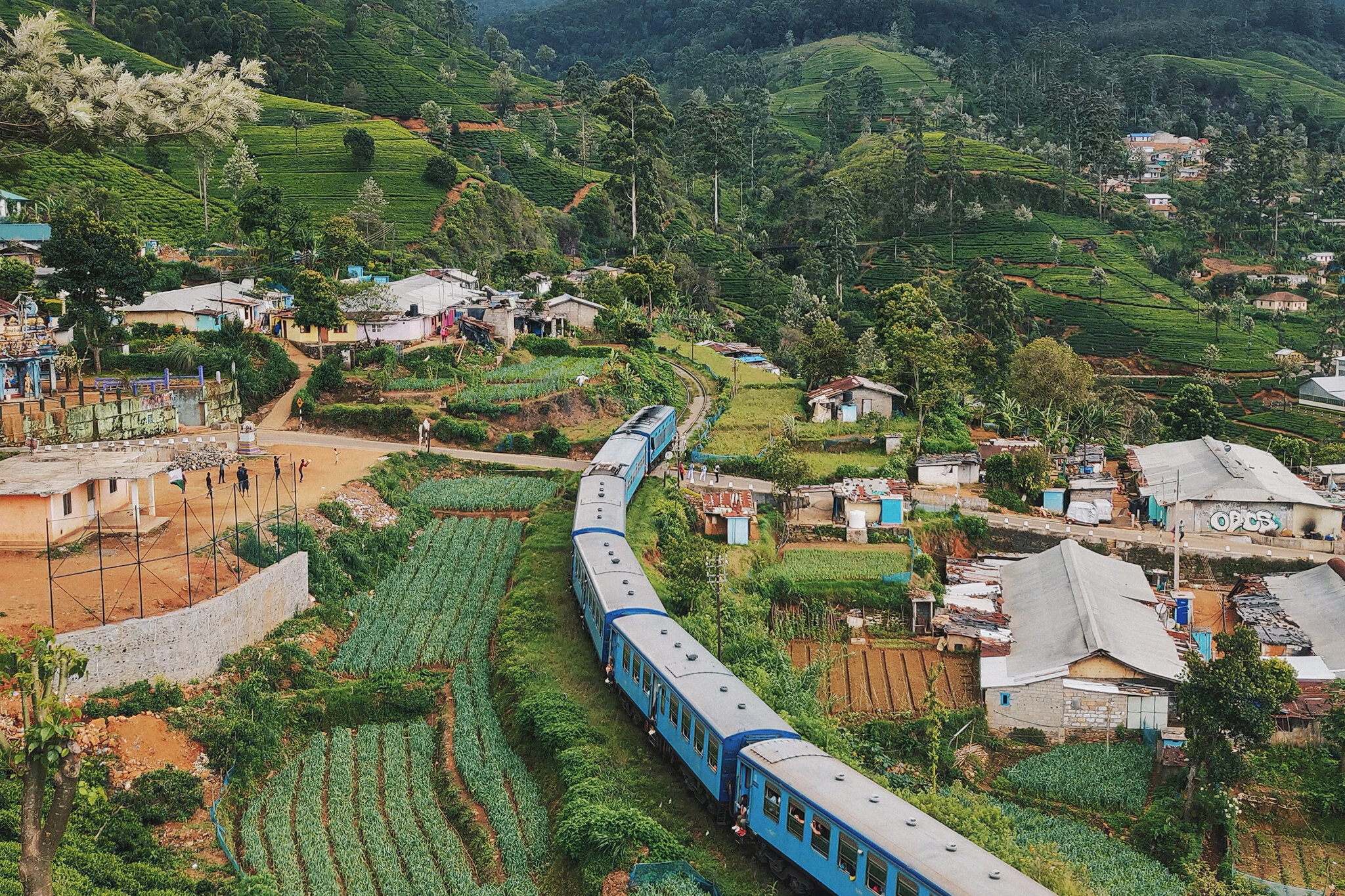 Ein Zug fährt durch das idyllische Dorf Nanu Oya umgeben von einer grünen, hügeligen Umgebung in Sri Lanka. | © unsplash | Anton Lecock